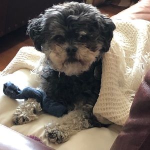 Meet your Posher, Terry